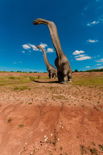 星空娱乐网址-滑雪场寒假开放前安全演练全覆盖,滑雪场安全提示牌